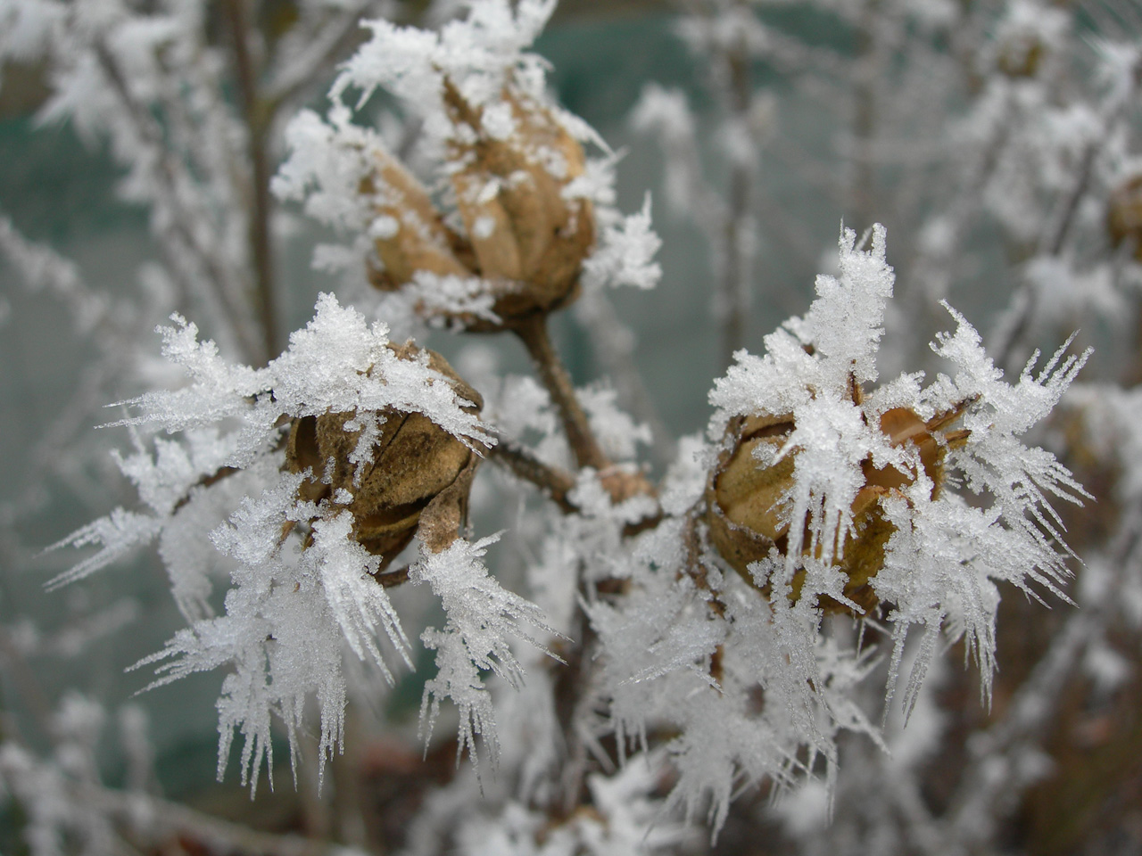 Wallpapers Nature Saisons - Winter Hiver #02