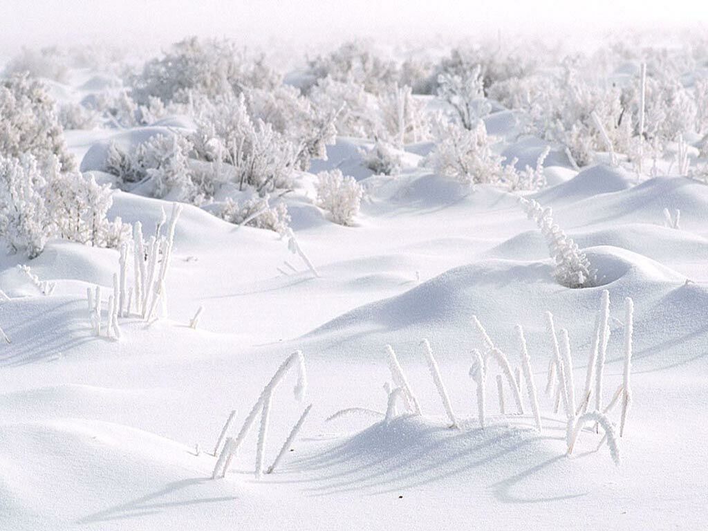 Fonds d'cran Nature Saisons - Hiver Blanc comme neige