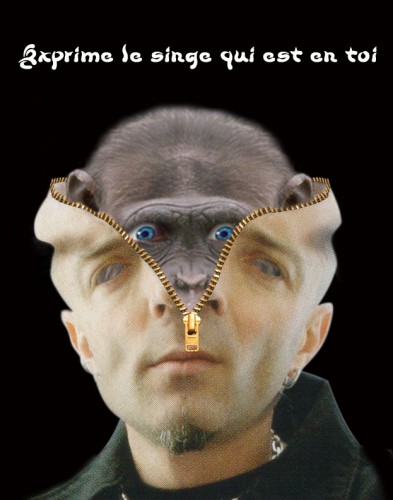 Fonds d'cran Art - Numrique Montages Exprime le singe qui est en toi