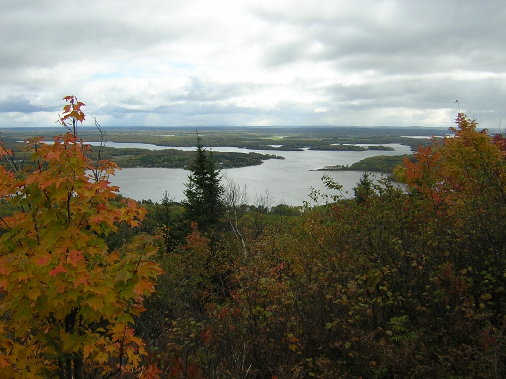 Fonds d'cran Nature Arbres - Forts Mont Kkko Abitibi