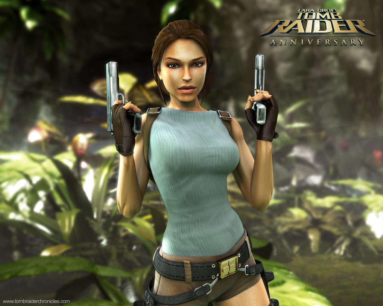 Fonds d'cran Jeux Vido Tomb Raider Anniversary 