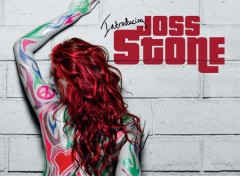 Wallpapers Music Introducing Joss Stone