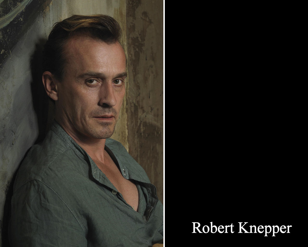 Wallpapers Celebrities Men Robert Knepper 