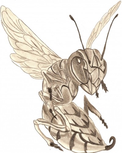 Wallpapers Art - Pencil Animals - Insects votez svp