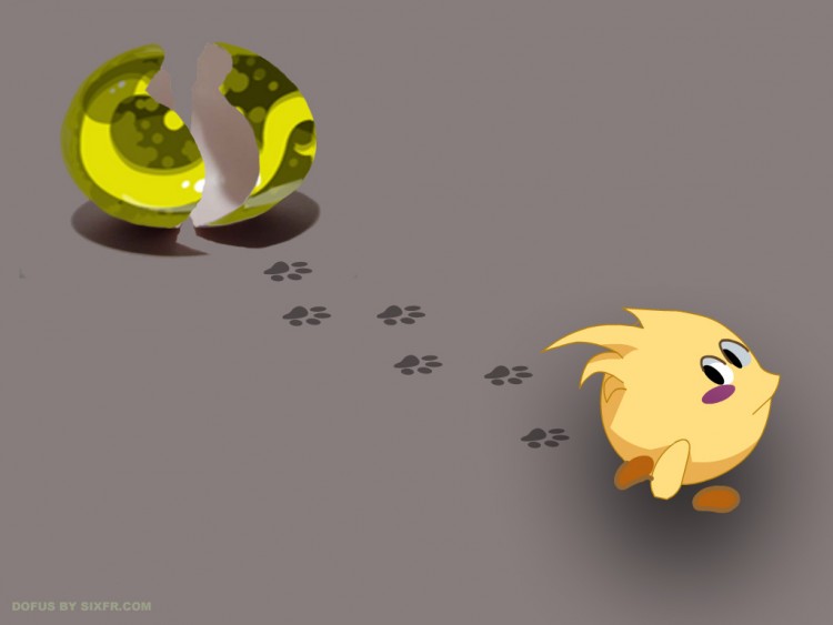 Wallpapers Video Games Dofus - contest naissance du piou