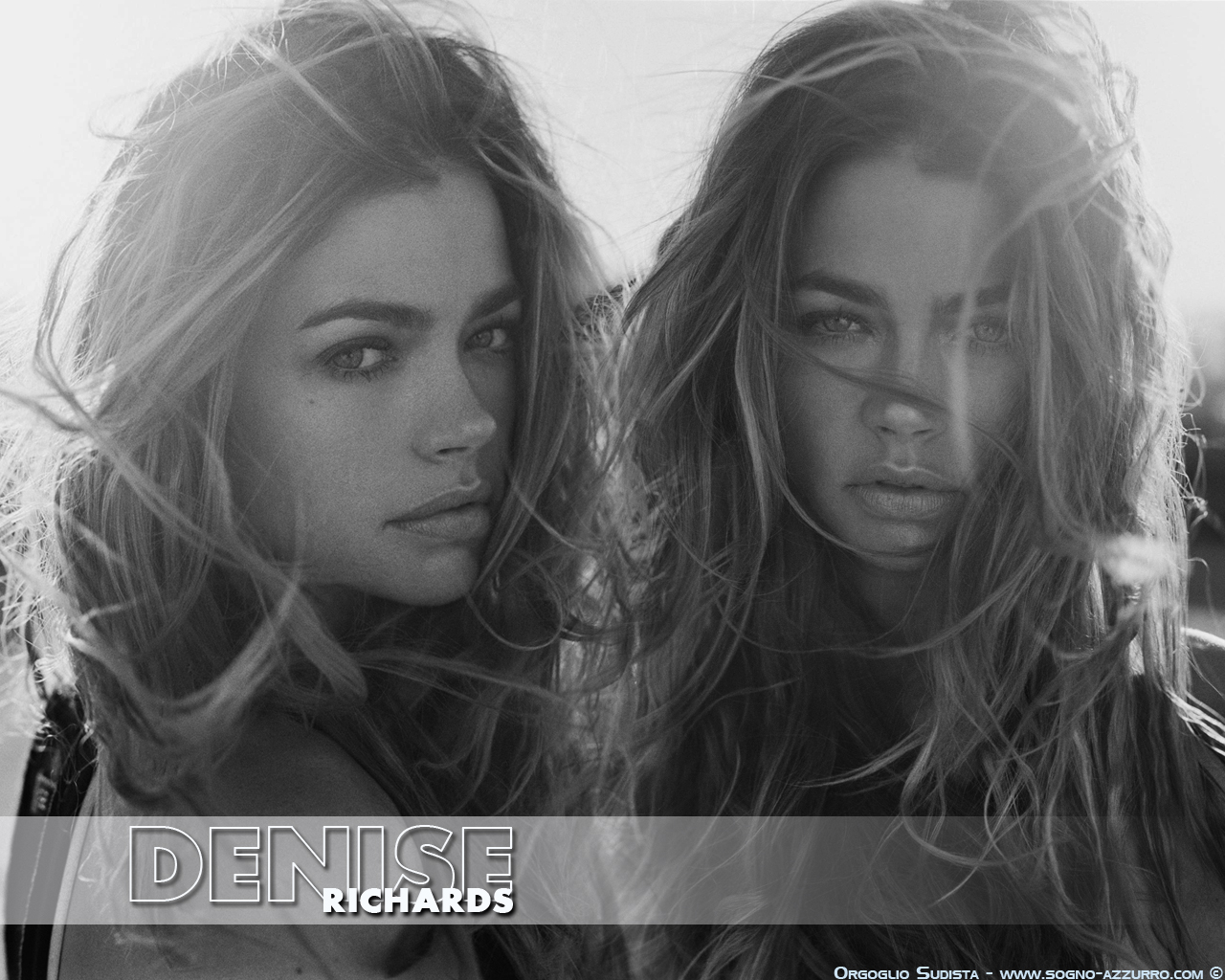 Wallpapers Celebrities Women Denise Richards Denise Richards