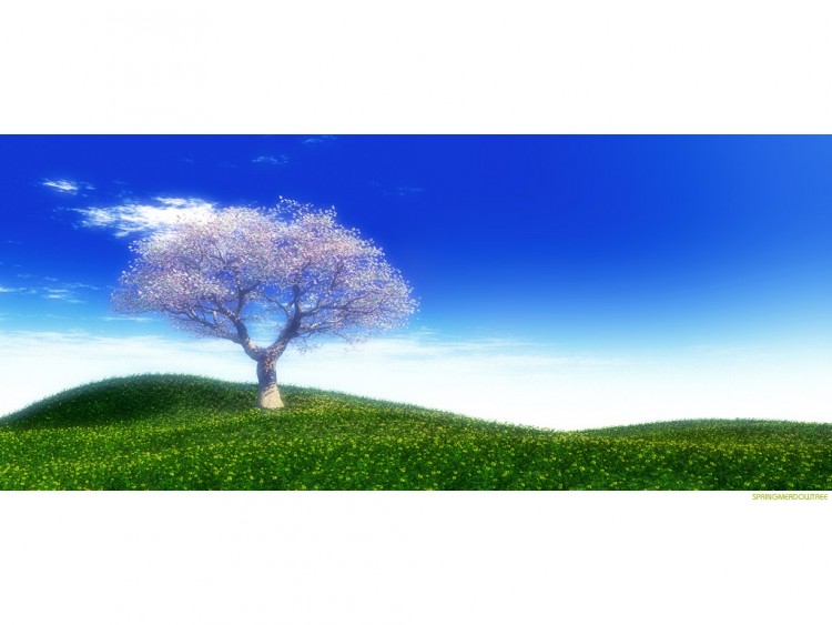 Wallpapers Digital Art Nature - Landscapes Wallpaper N191947