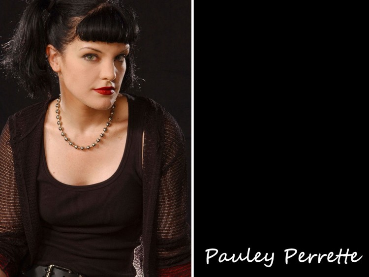 Wallpapers Celebrities Women Pauley Perrette Wallpaper N191985