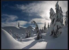 Fonds d'cran Nature neige au canada