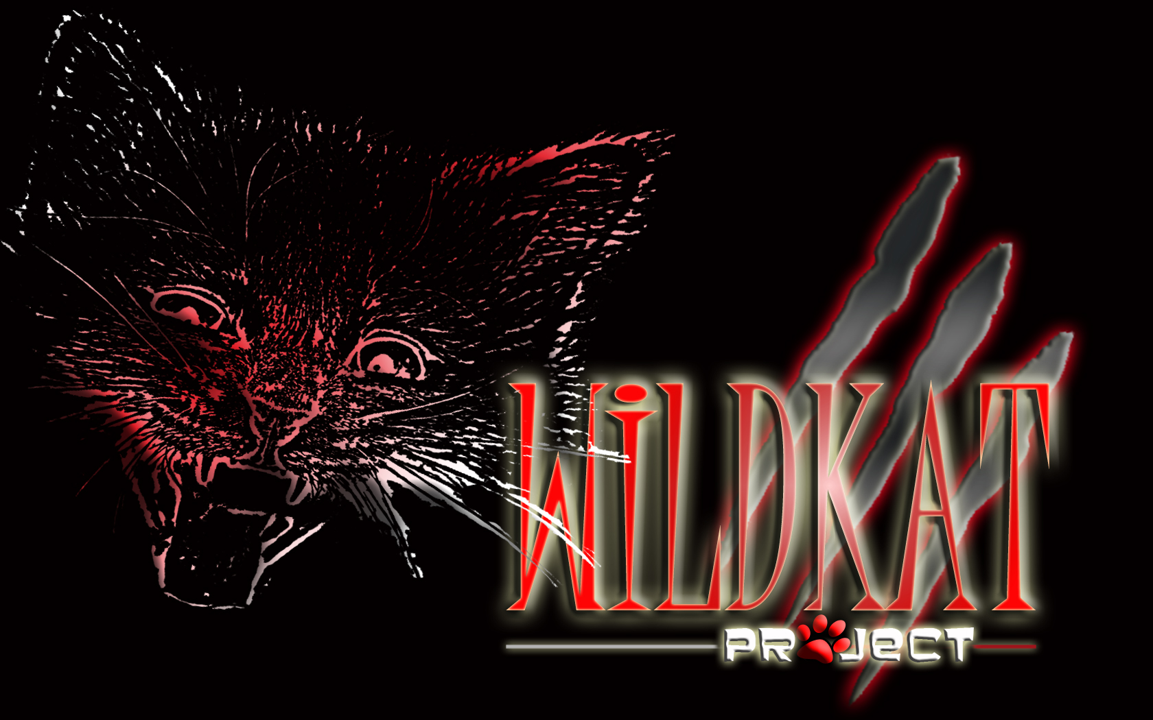 Fonds d'cran Art - Numrique Animaux WildKat Project 3