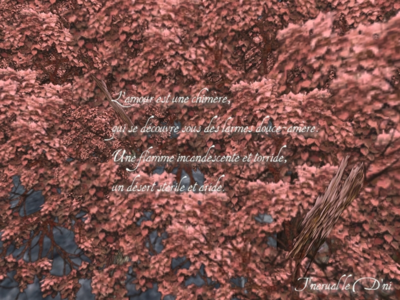 Wallpapers Digital Art Poetry - Texts L'Amour