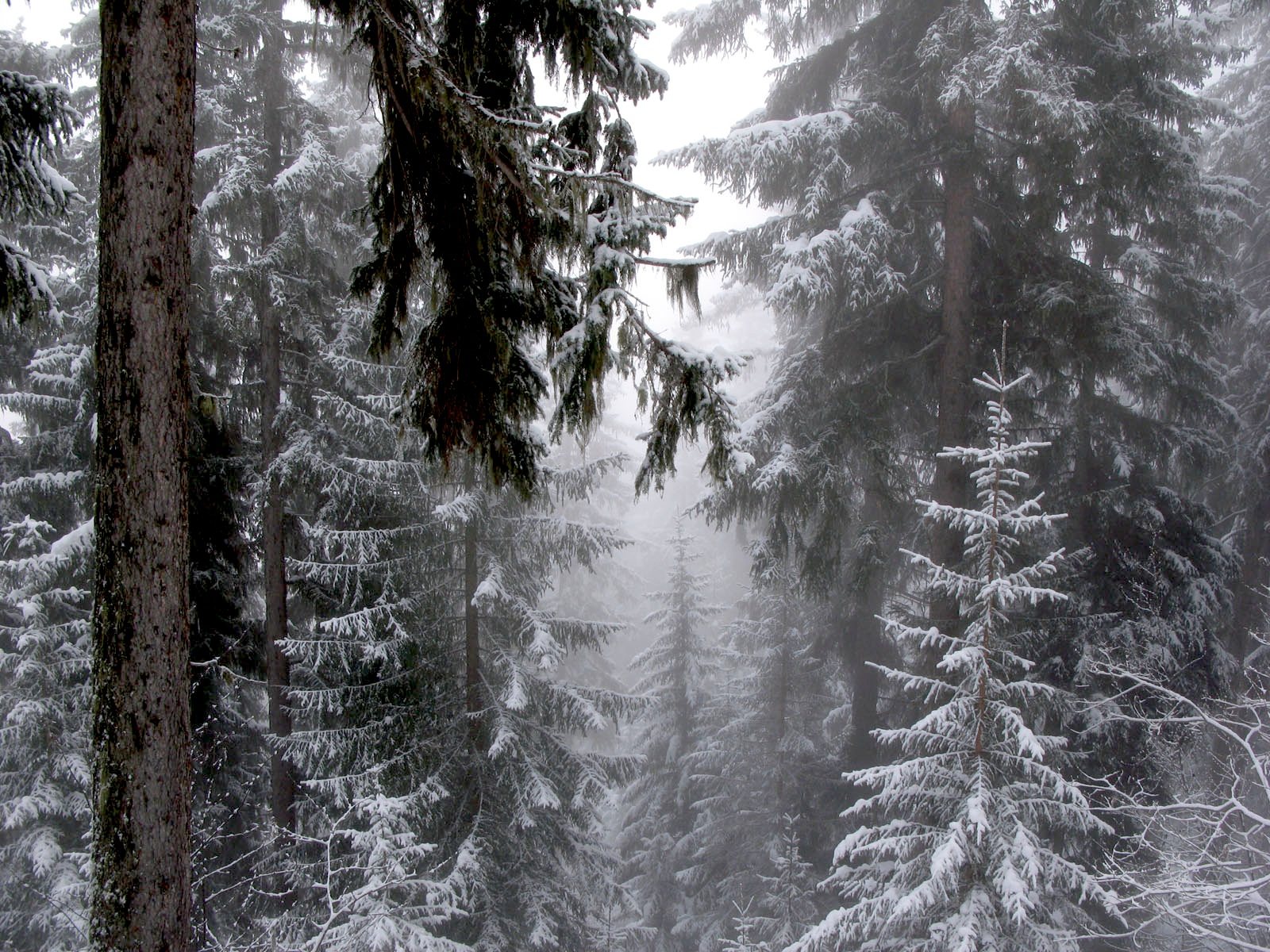 Fonds d'cran Nature Montagnes Courchevel sous la neige