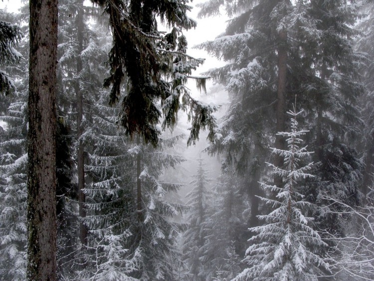 Wallpapers Nature Mountains Courchevel sous la neige