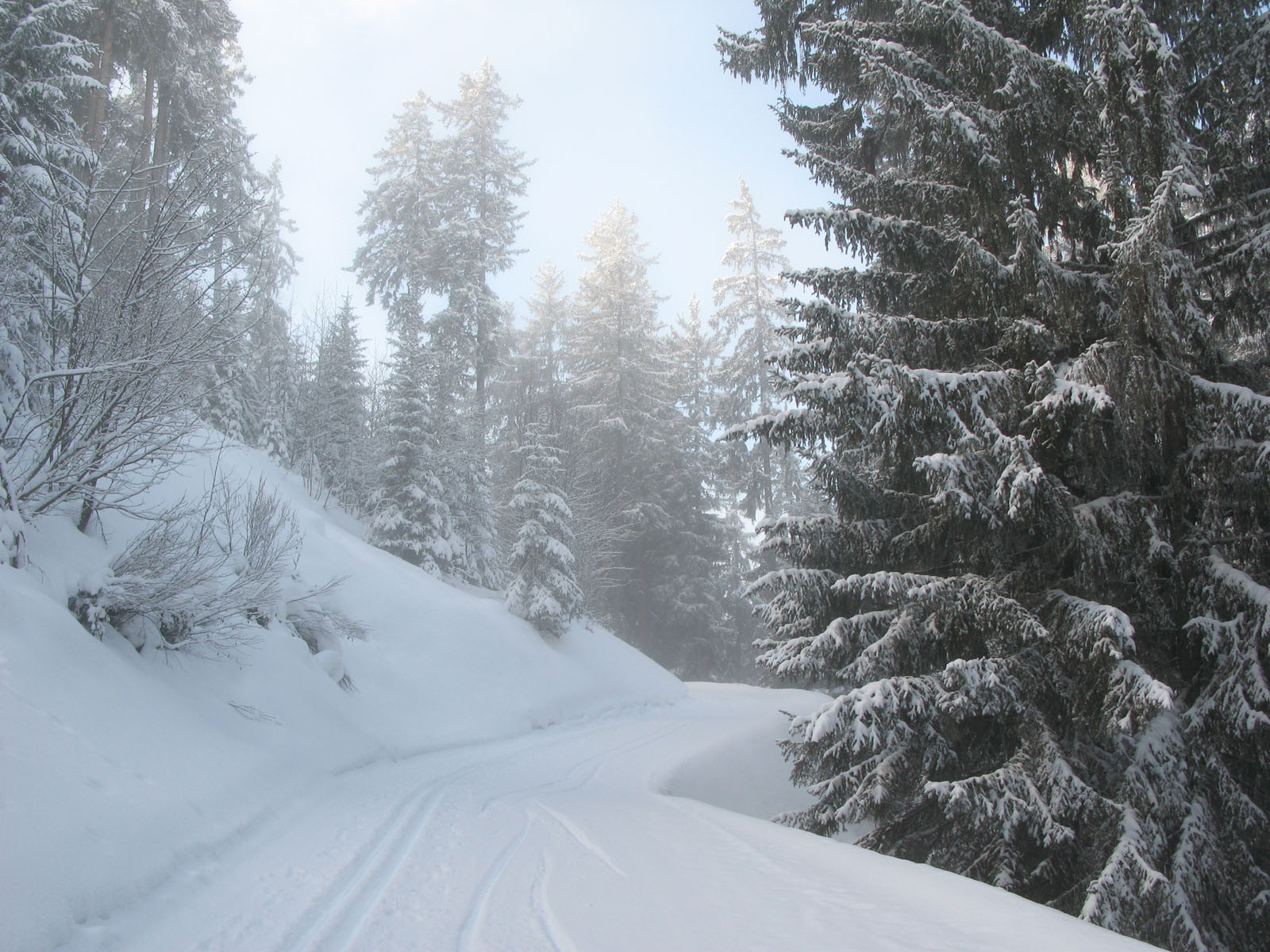 Fonds d'cran Nature Saisons - Hiver Courchevel sous la neige