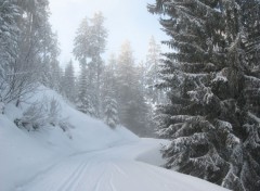 Wallpapers Nature Courchevel sous la neige