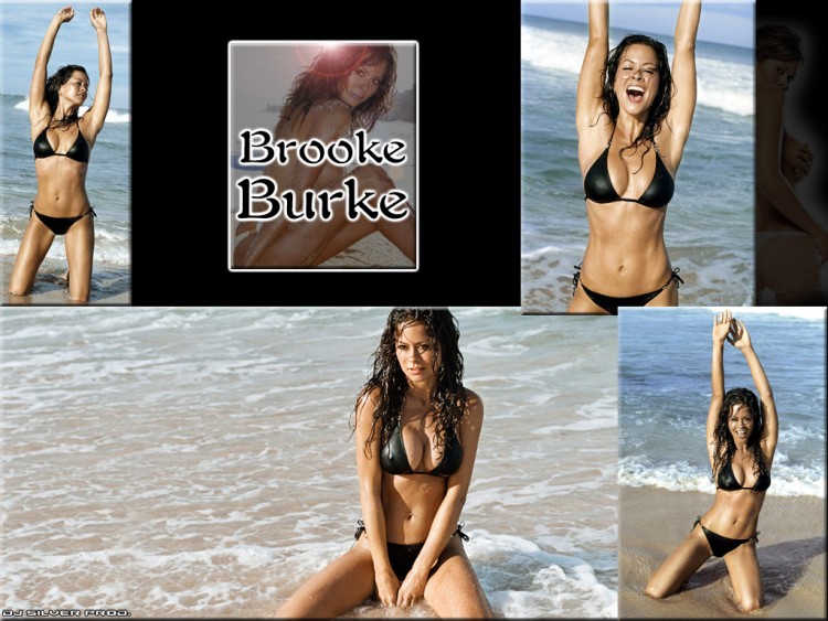 Wallpapers Celebrities Women Brooke Burke Brooke Burke