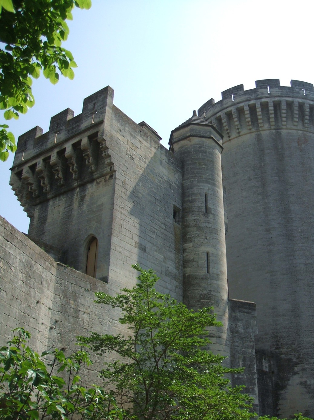 Fonds d'cran Constructions et architecture Chteaux - Palais Chteau de Tarascon