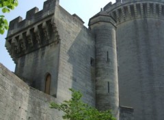 Fonds d'cran Constructions et architecture Chteau de Tarascon