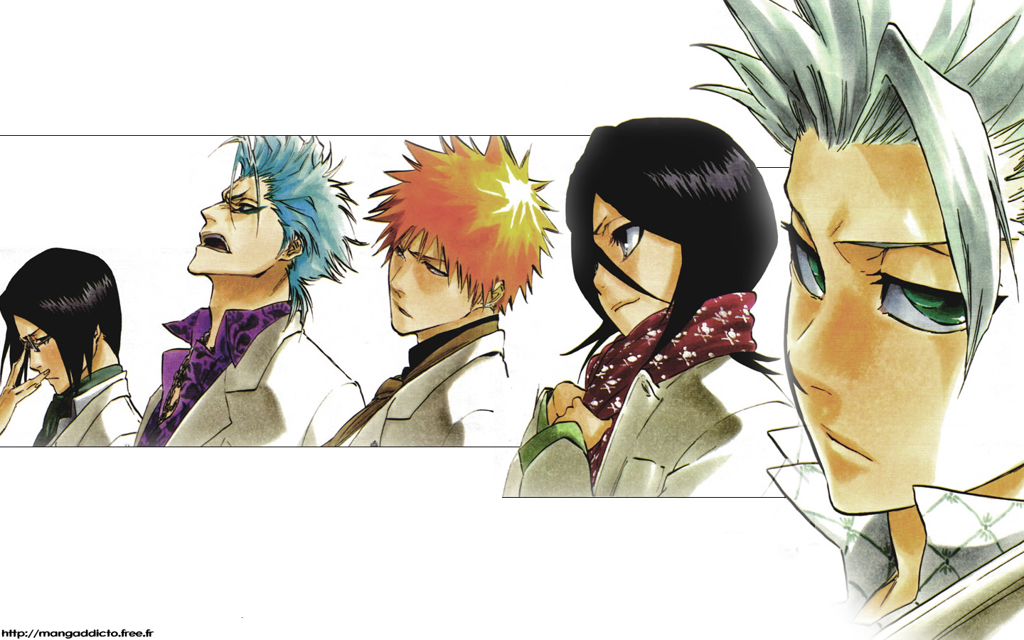 Fonds d'cran Manga Bleach Bleach's Heroes