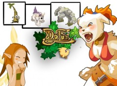 Fonds d'cran Jeux Vido Dofus