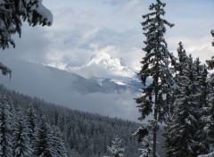 Wallpapers Nature Courchevel sous la neige