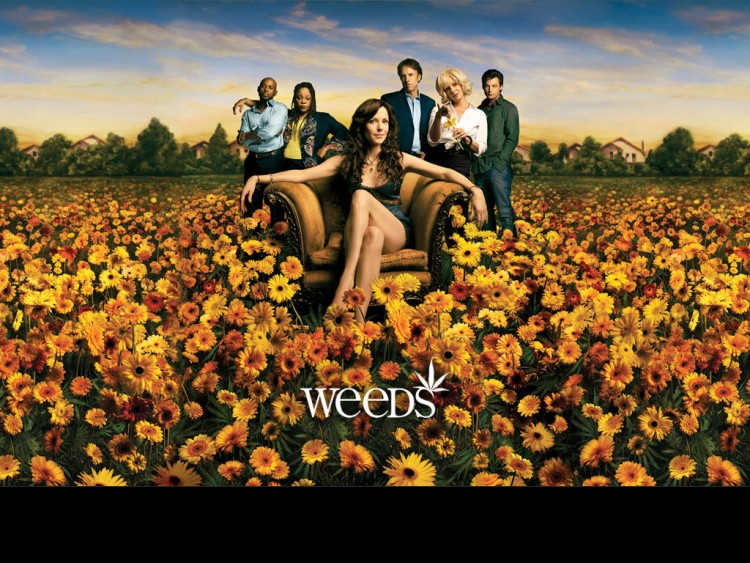 Fonds d'cran Sries TV Weeds Wallpaper N193259