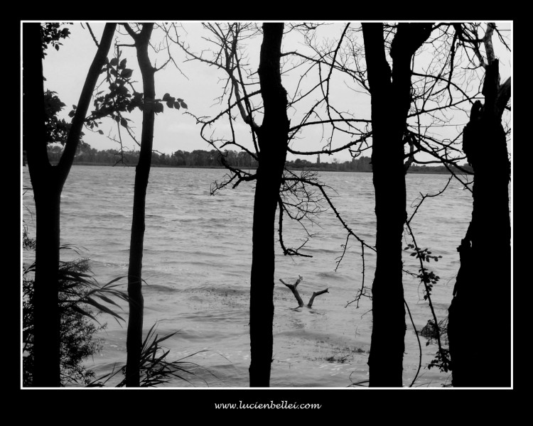 Wallpapers Nature Lakes - Ponds Lac placide ou prison ?