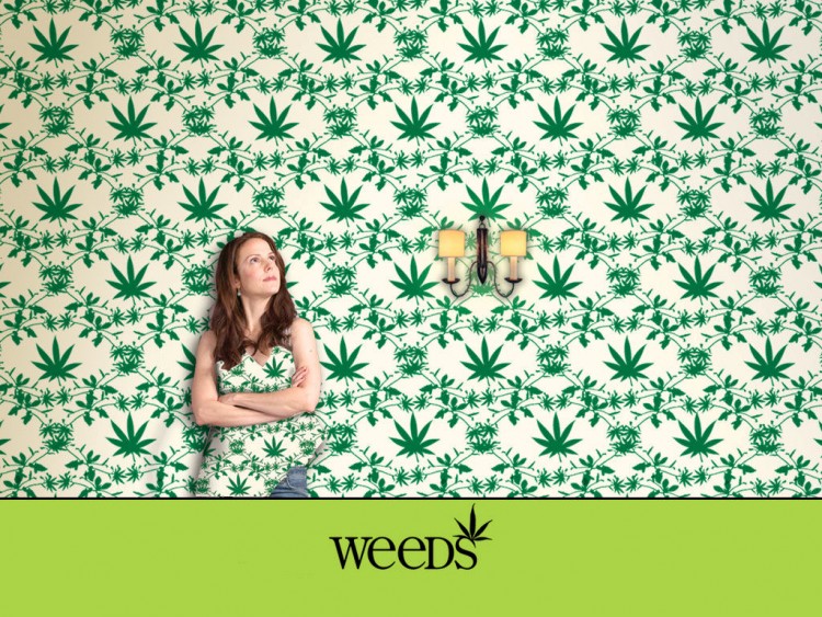 Fonds d'cran Sries TV Weeds Wallpaper N193508