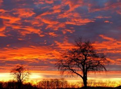 Fonds d'cran Nature COUCHER DE SOLEIL