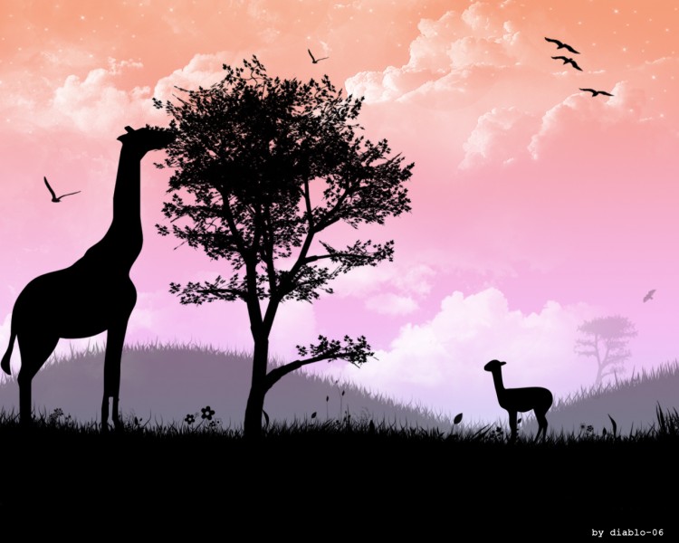 Wallpapers Digital Art Animals animals 2