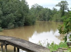 Fonds d'cran Nature Rivire de Tonnegrande