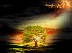 Wallpapers Nature Eleven Tree