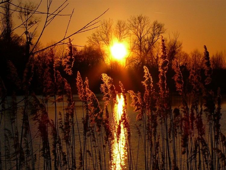 Fonds d'cran Nature Couchers et levers de Soleil COUCHER DE SOLEIL