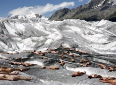 Fonds d'cran Erotic Art Spicer Tunick glacier 3