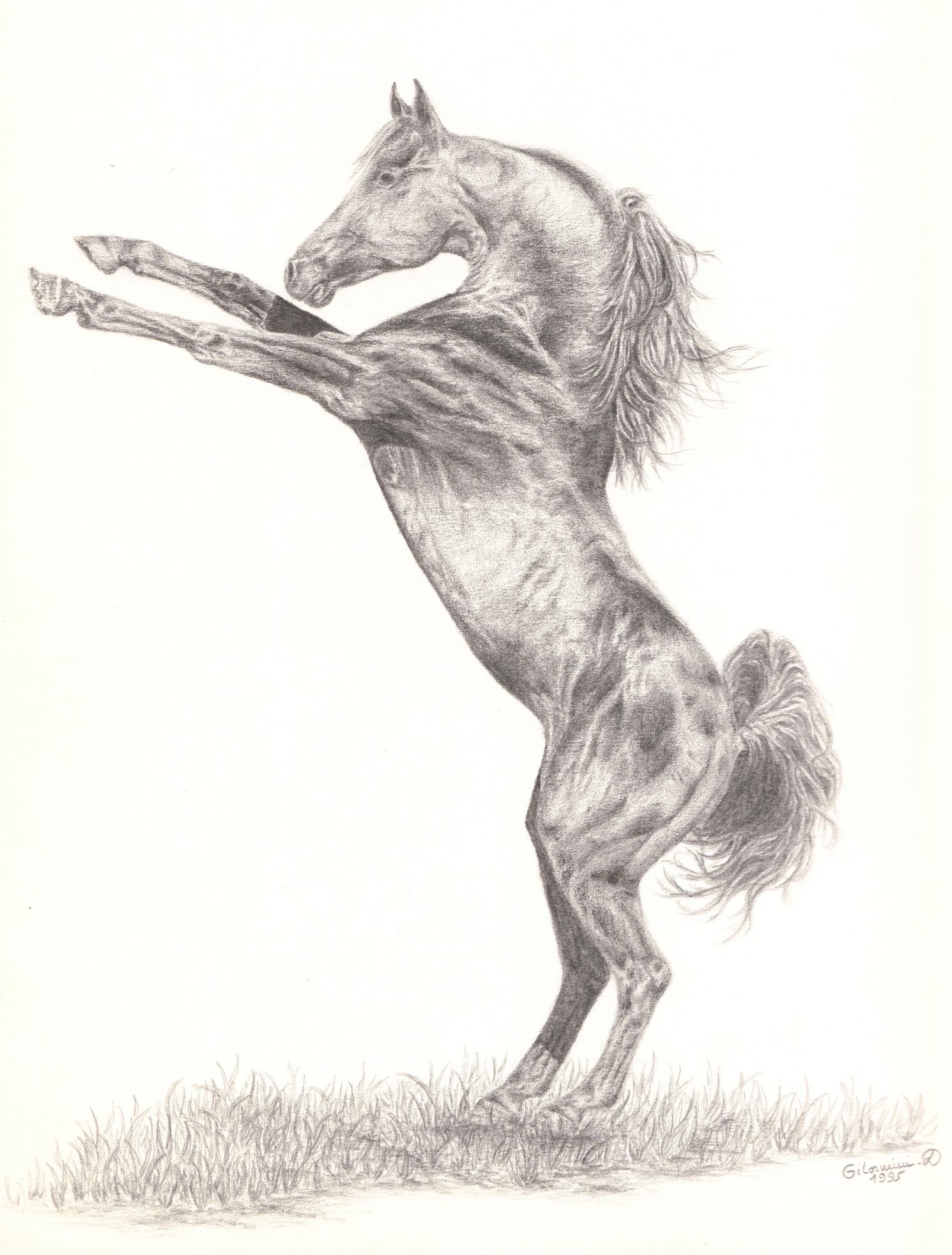 Wallpapers Art - Pencil Animals - Horses Le Cabré