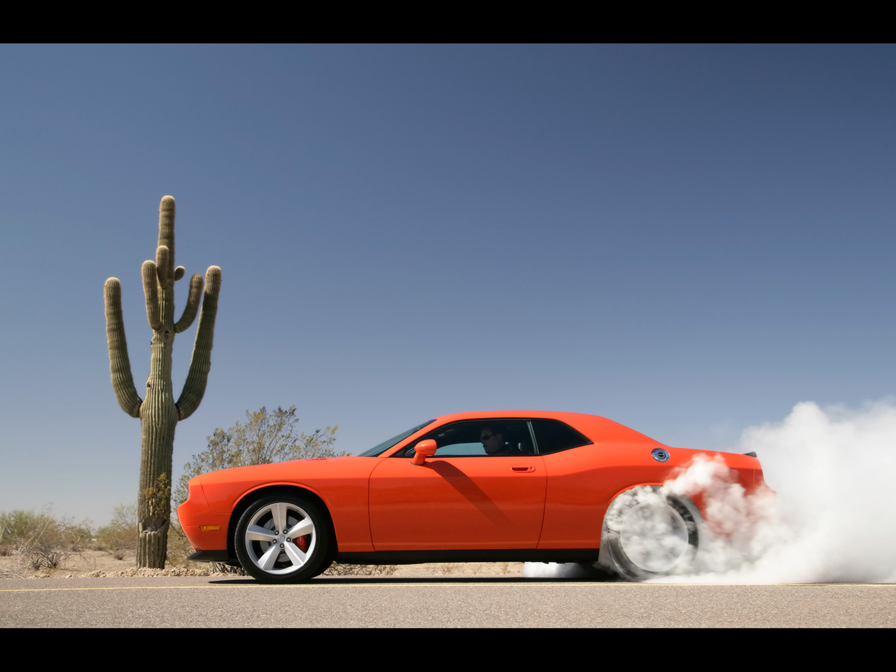 Wallpapers Cars Dodge Dodge challenger