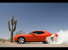 Fonds d'cran Voitures Dodge challenger