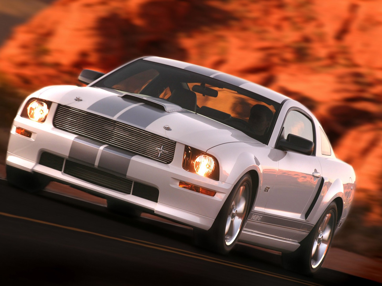 Fonds d'cran Voitures Shelby GT