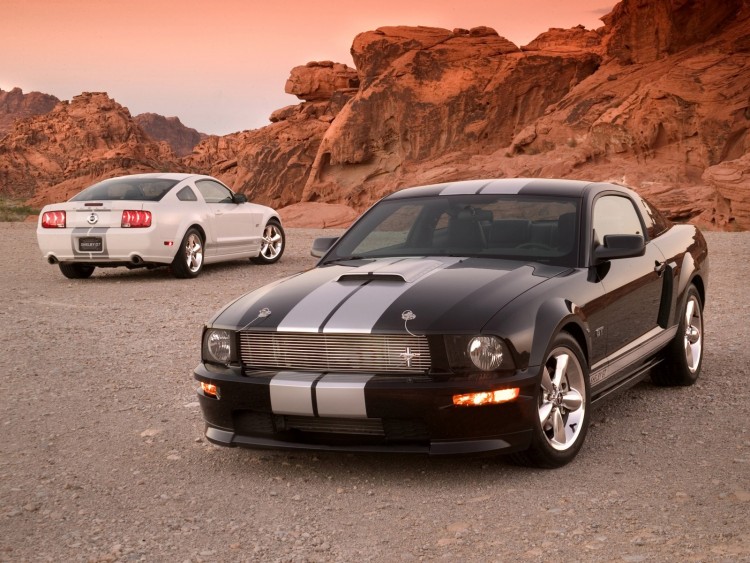 Fonds d'cran Voitures Shelby GT