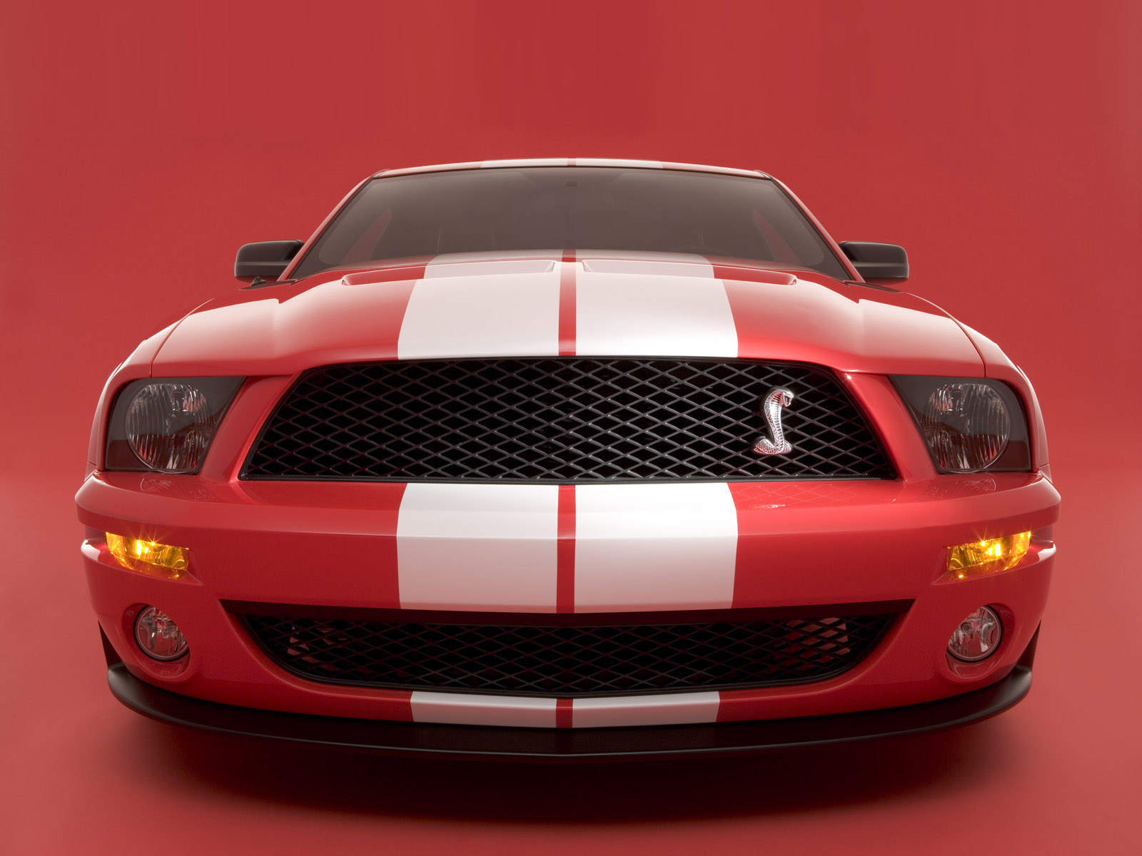 Fonds d'cran Voitures Shelby Cobra GT500