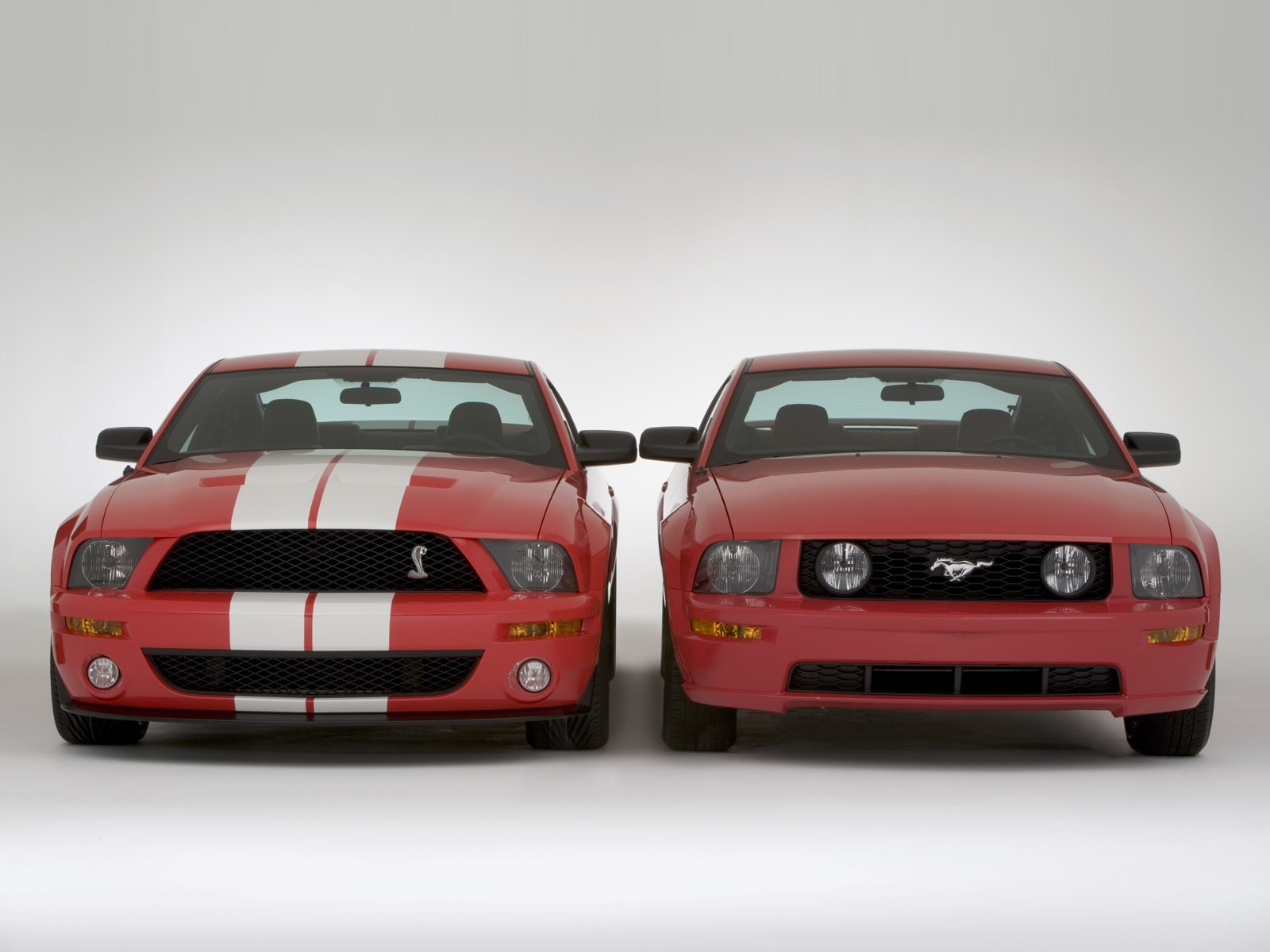 Fonds d'cran Voitures Shelby Cobra GT500