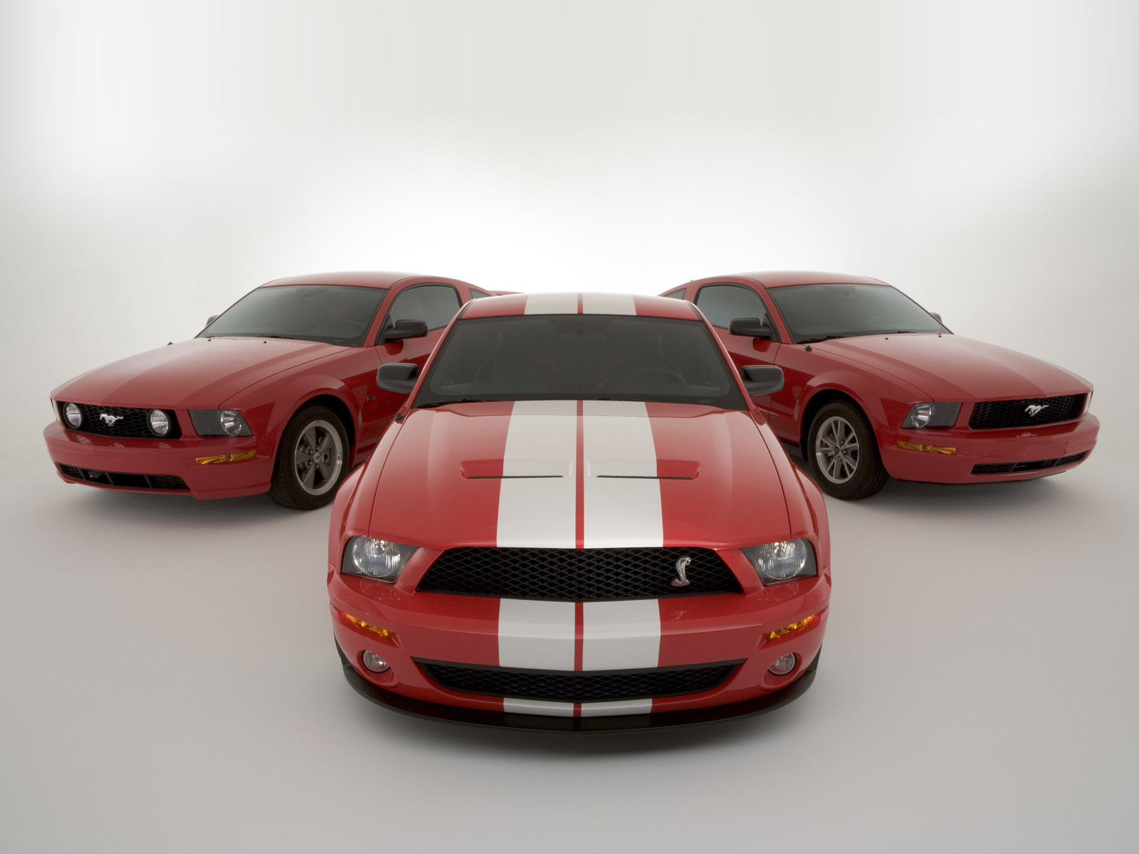 Fonds d'cran Voitures Shelby Cobra GT500