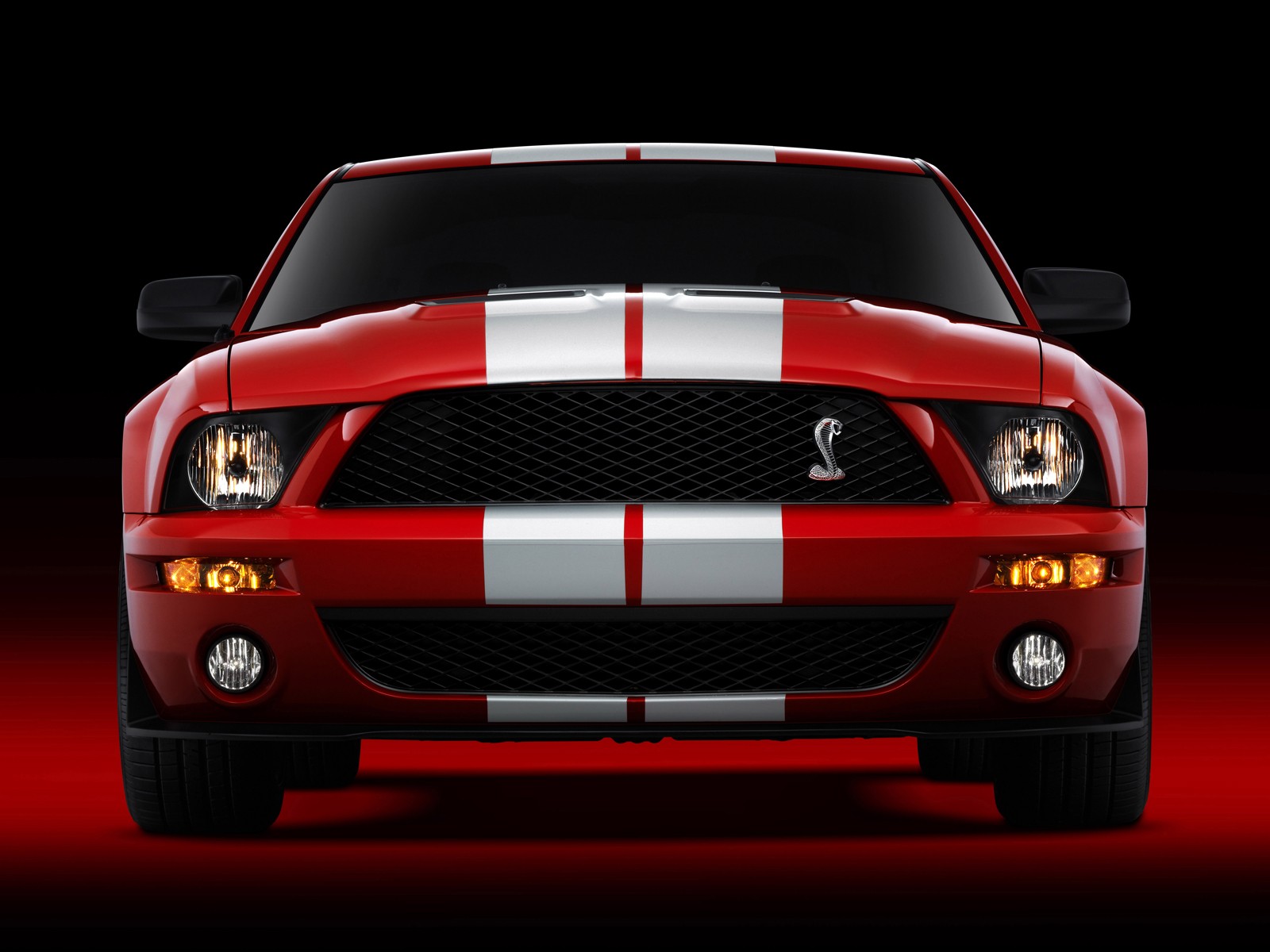 Fonds d'cran Voitures Shelby Cobra GT500