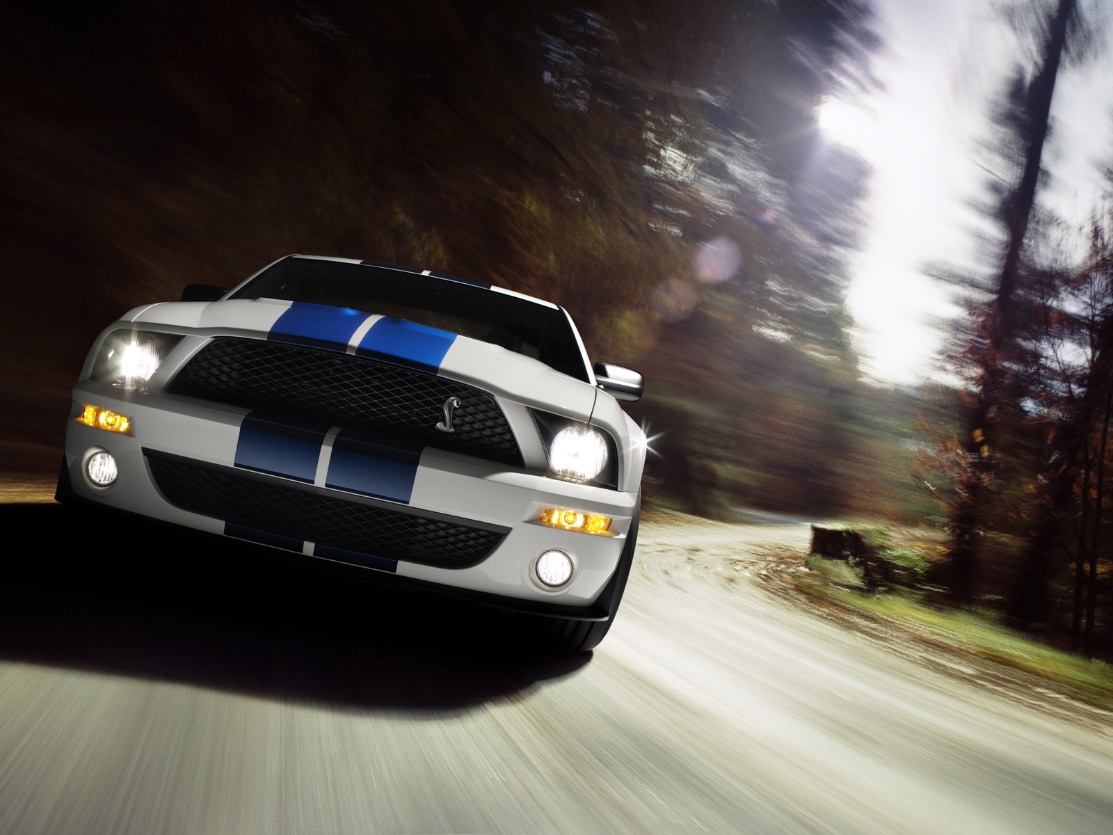 Fonds d'cran Voitures Shelby Cobra GT500