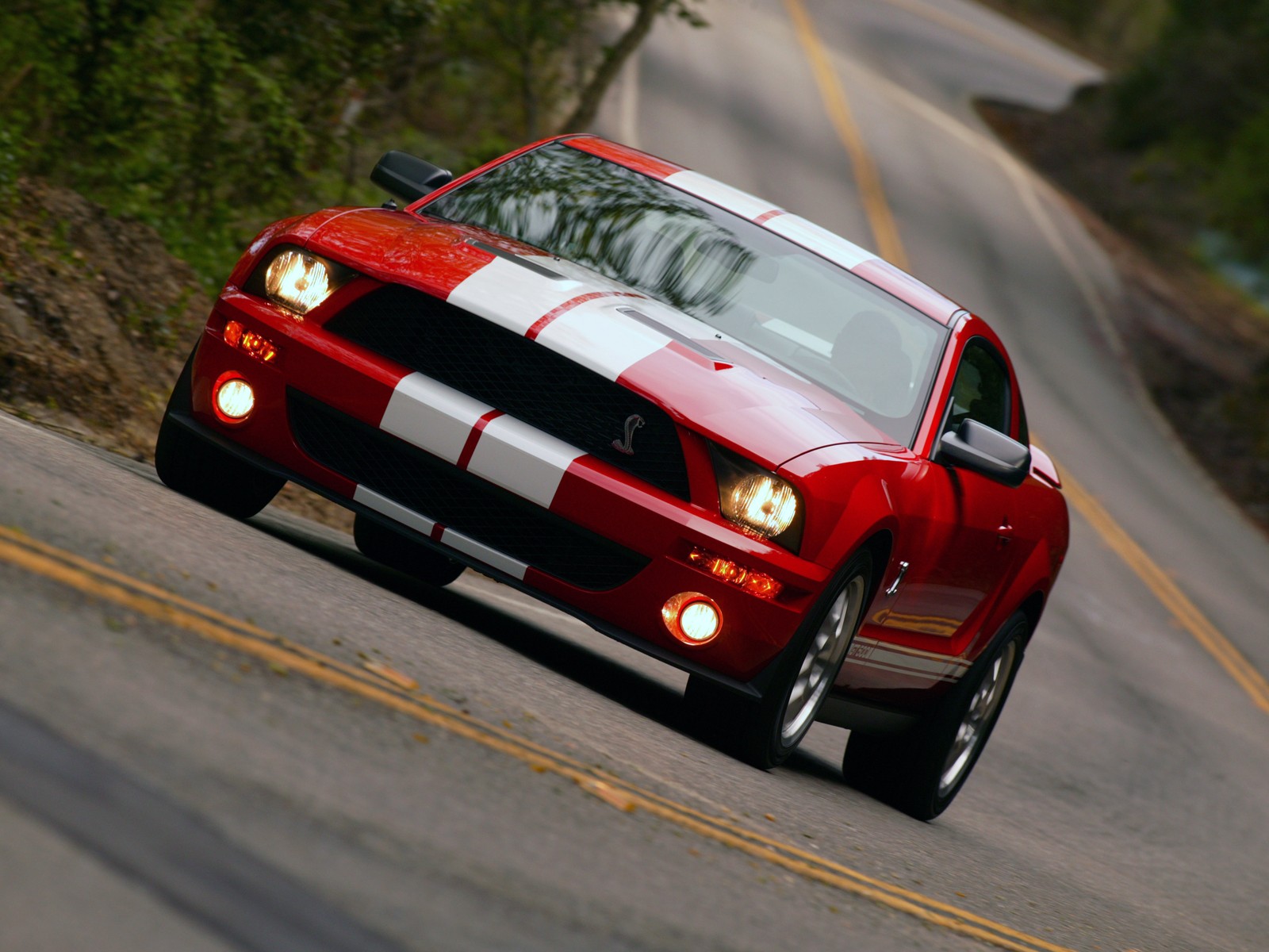 Fonds d'cran Voitures Shelby Cobra GT500