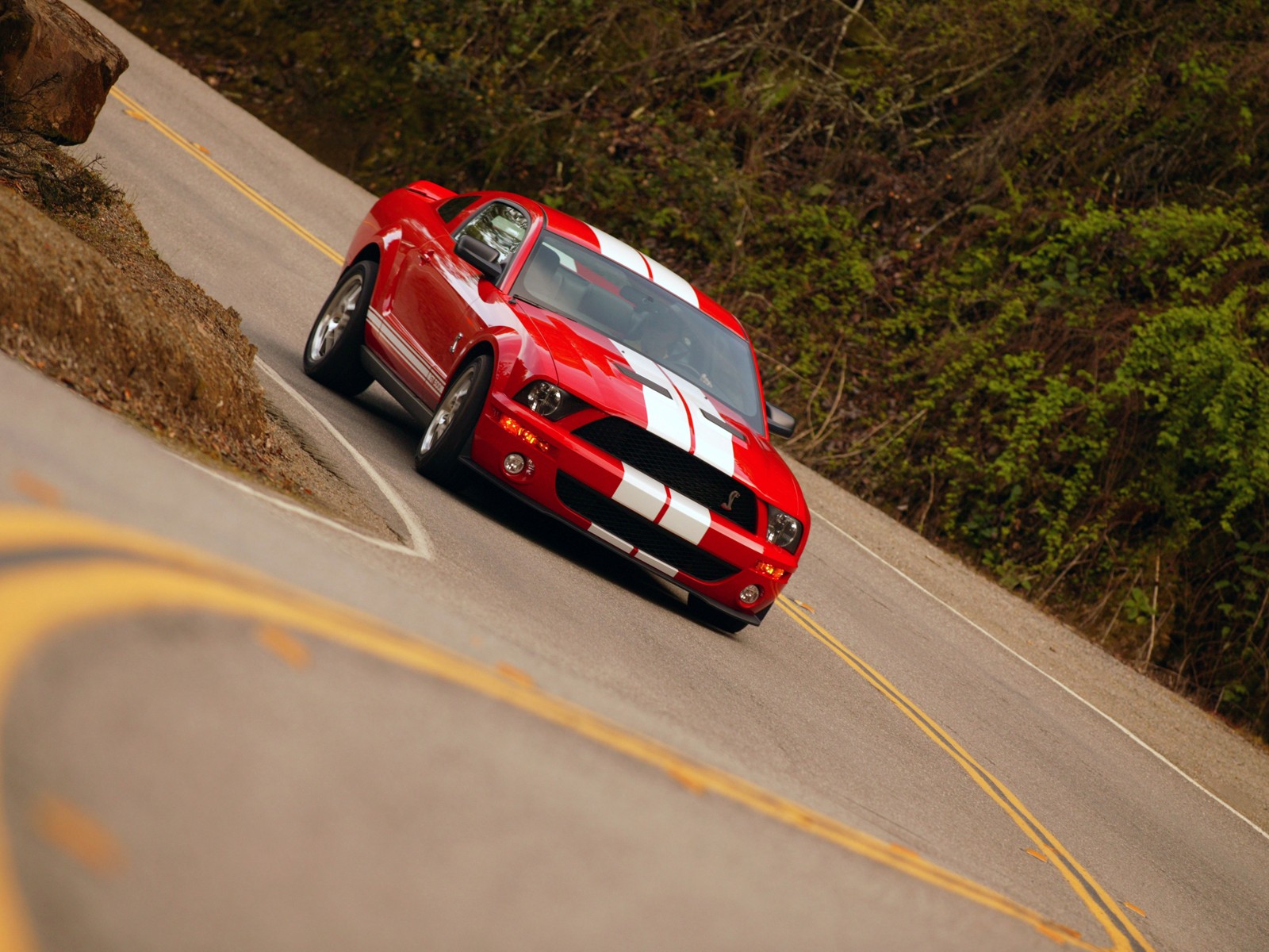 Wallpapers Cars Shelby Cobra GT500