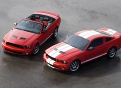 Fonds d'cran Voitures Cobra GT500