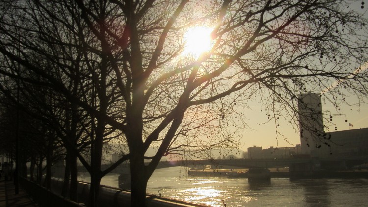 Fonds d'cran Nature Fleuves - Rivires - Torrents la seine  rouen sous le soleil