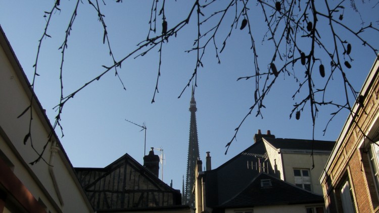 Wallpapers Constructions and architecture Religious Buildings la cathdrale vue de cot