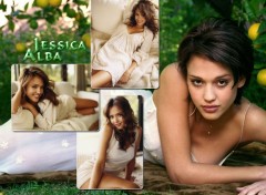 Fonds d'cran Clbrits Femme Jessica Alba